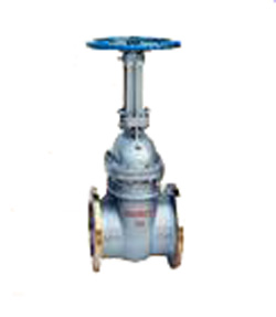 Z41H-10C�͉����U�T��l�y